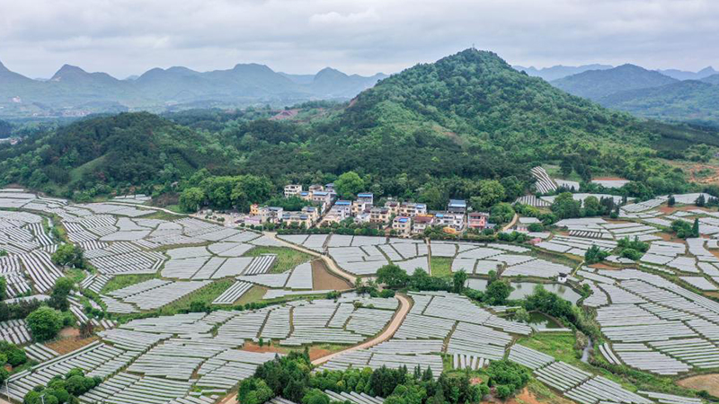 特稿：中國兩會(huì)的世界期待