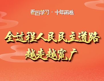 看圖學習·十年畫卷丨全過程人民民主道路越走越寬廣