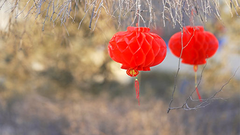 新春走軍營 | 爸媽，我在這里挺好的